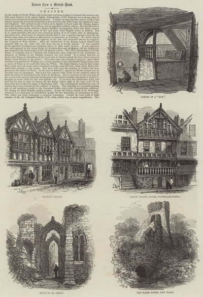 Chester de Samuel Read